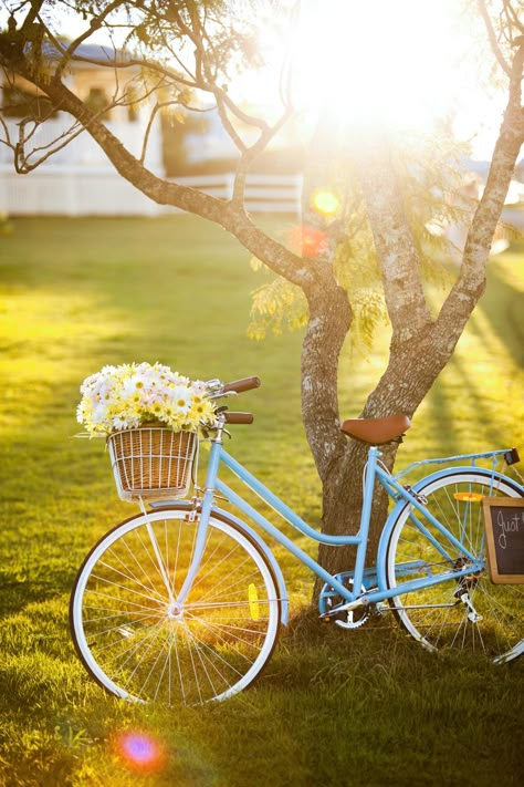 Pretty Bicycle, Image Zen, Bicycle Pictures, Ui Ux 디자인, Velo Vintage, Bike Photography, Pretty Bike, Refined Wedding, Beautiful Bike