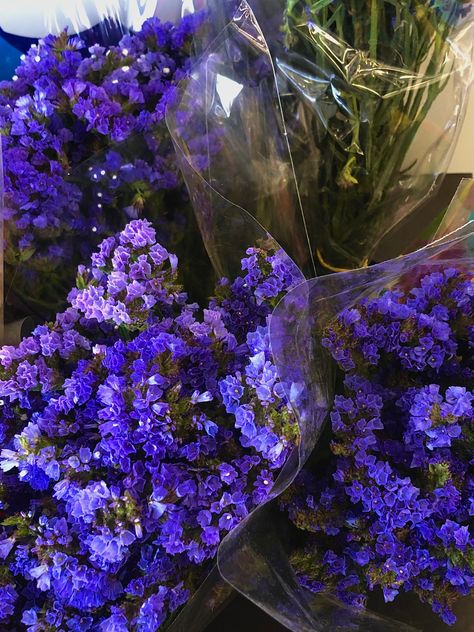 #purple #flowers #small #bouquet Purple Flower Bouquet, Small Purple Flowers, Small Flowers, Purple Flowers, Flowers Bouquet, Purple, Flowers, Plants