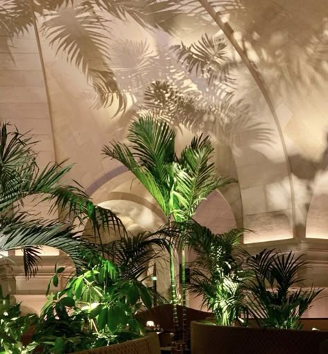 Plant Uplighting, Pilates Room Design, Unicorn Landscape, Lucknow Airport, Brutal Fruit, Bar Lighting Design, Hotel Plants, Faena Miami, Bear Landscape