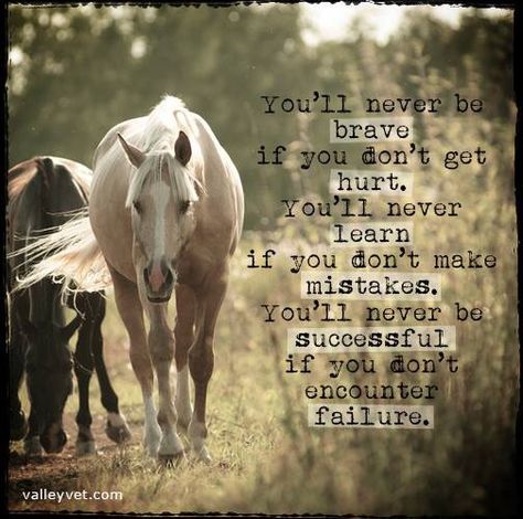 Love this saying so much, for those who fall are better than those who never fell. Horsemanship Quotes, Horse Poems, Rodeo Quotes, Horse Healing, Equine Quotes, Cowgirl Quote, Horse Quotes Funny, Male Horse, Inspirational Horse Quotes