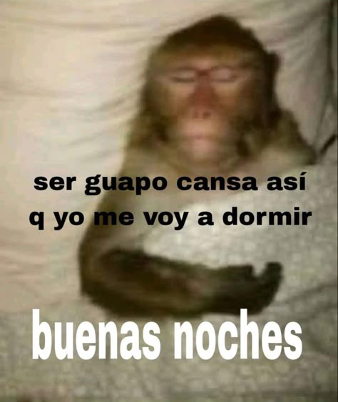 Funny Mexican Pictures, Funny Spanish Jokes, Spanglish Quotes, Motivation Psychology, Spanish Jokes, Spanish Memes, Snapchat Funny, Monkeys Funny, Funny Cartoon Quotes