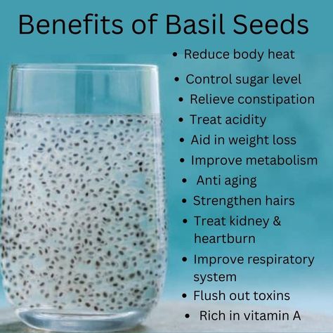 Basil seeds are low calorie and high fiber food which provide all day along nutrients of a person.. Basil Seeds Benefits, Basil Health Benefits, Brain Healthy Foods, Seeds Benefits, Improve Metabolism, Coconut Benefits, Basil Seeds, Turmeric Tea, Health Guide