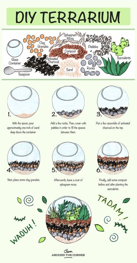 Diy Terrariums, Terrariums Diy, Succulent Terrariums, Tanaman Air, Kaktus Dan Sukulen, Diy Succulent Terrarium, Idea For Mother's Day, Diy Terrarium, Terrarium Ideas