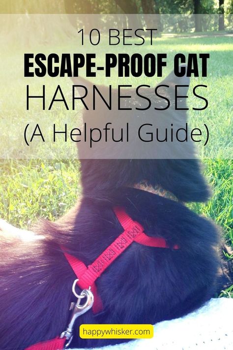 10 Best Escape-Proof Cat Harnesses (A Helpful Guide) Escape Proof Cat Harness, Diy Kitten Harness, Diy Cat Harness How To Make, Cat Harness Crochet, Cat Harness Diy Pattern, Crochet Cat Harness, Diy Cat Harness, Cat Owner Hacks, Rat Harness