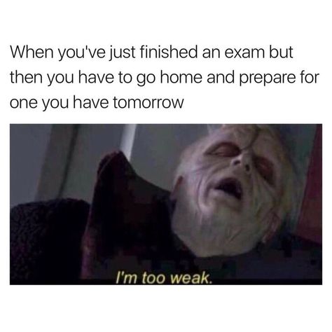 College Exam Humor, Studying Memes Humor, Final Exam Quotes Funny Studying, Study Memes Funny, Exam Mood, College Life Humor, Exam Memes, Exams Memes, Studying Funny