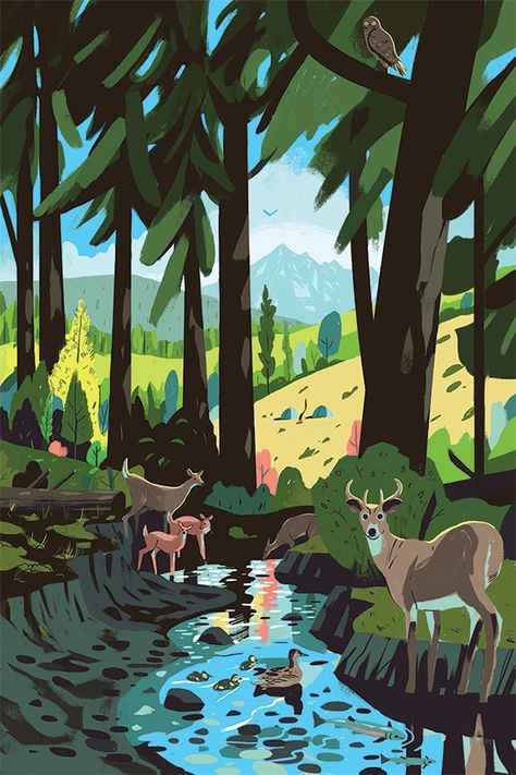 Creek In The Woods, Ryan Johnson, Bold Artwork, American Illustration, 500 Piece Puzzles, Landscape Illustration, Holiday Illustrations, Nature Illustration, Illustration Vector