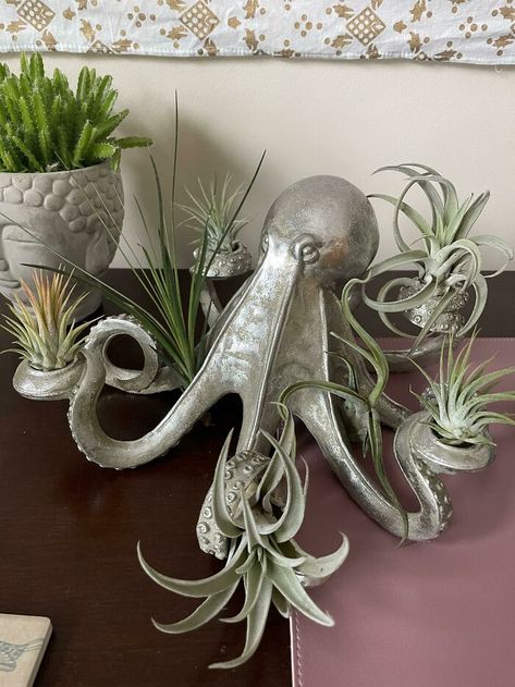 Heard You Guys Might Like My Air Plant Octopus