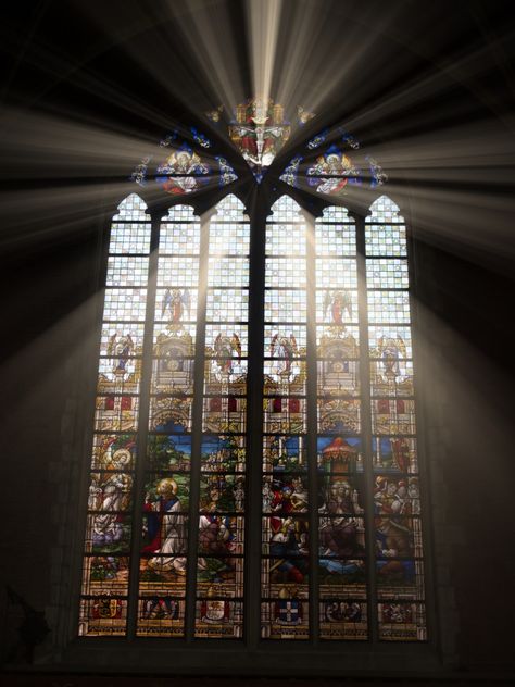 St Bavo's Cathedral - The sun beams through the stained glass window. Shot on @olympusuk #architecture #photography #Belgium #Bruge #buildings #city #City #Scape #Draycott #Photography #EM10 #Ghent #landmarks #Olympus #OMD #people #cathedral #stain #glass #religon #churchm #light #sunlight #sunbeam Cathedral Lighting, Foyer Lighting Fixtures Entryway, Staircase Molding, Architecture Window, Coastal Light Fixtures, Recessed Lighting Layout, Bedroom Lighting Design, Dark Picture, Modern Bedroom Lighting