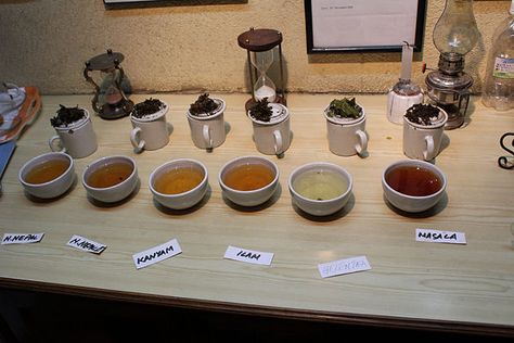 How to Arrange a Tea Tasting Party: 10 Steps (with Pictures) Tea Tasting Party, Womens Event, Resident Event Ideas, Types Of Teas, Farm Retreat, Shop Business Ideas, Moms' Night Out, Different Types Of Tea, Tasting Party