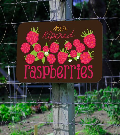 Farmstand Recipes, Farm Signage, Companion Garden, Garden Signs Diy, Raspberry Cottage, Raspberry Trellis, Green Photoshoot, Halloween Car Decorations, Standing Signage