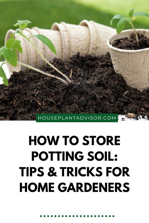 It's important to know how to store potting soil properly in order to keep it fresh and ready to use. While there is nothing better than having extra dirt on hand (especially if you tend to acquire plants frequently), you may still be wondering how to keep potting soil fresh for years. Let's dig in on how to do so! Storing Potting Soil, Soil Storage, Rubbermaid Storage, Unique Garden Ideas, Gardening Vegetables, Container Gardening Vegetables, Unique Gardens, Love Garden, How To Store