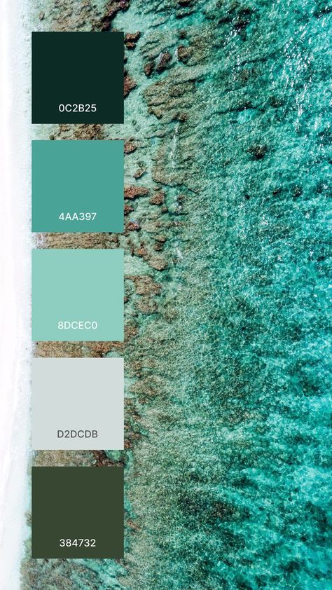 A good colors that work together in a color palette:
0C2B25
4AA397
8DCEC0
D2DCDB
384732 Green Color Pallet, Color Thesaurus, Milk Products, Color Design Inspiration, Sea Green Color, Color Pallete, Color Schemes Colour Palettes, Color Vibe, Colour Ideas