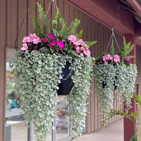 Hanging Flower Pots Outdoor, Balcony Flowers, Window Box Flowers, Hanging Flower Baskets, Plants For Hanging Baskets, Garden Wallpaper, Flower Pots Outdoor, Garden Containers, Foliage Plants