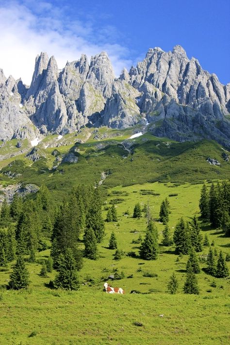 Austria Mountain Landscape Photography, Natural Structures, Pictures Of The Week, Beautiful Locations Nature, Green Landscape, Alam Yang Indah, Nature Aesthetic, Mountain Landscape, Places Around The World