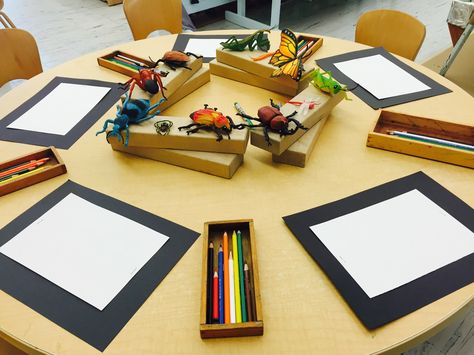 Play Provocations Kindergarten, Reggio Art Provocations, Preschool Art Provocations, Drawing Table Ideas Preschool, Kindergarten Provocations Invitations, Provocation Ideas For Preschool, Animal Provocations Preschool, Insects Reggio Emilia, Early Childhood Provocations