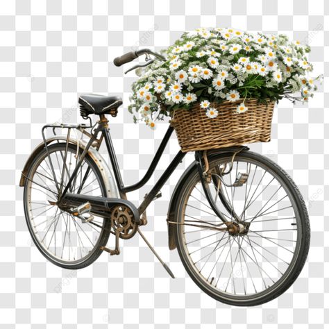 wheelie wonderful a bicycle adorned with floral delights bicycle flowers basket png Bicycle With Flowers In Basket, Flower Bicycle, Bicycle Flowers, Bicycle With Flowers, Basket Flowers, Flowers Basket, Transparent Image, Digital Planning, Flower Basket