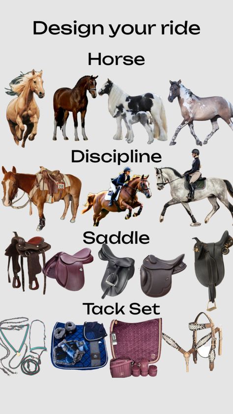 #horses #equestrianaesthetic Horse Riding Tips For Beginners, Hunter Jumping, Horses Stuff, Horseback Riding Tips, Dogs Images, Horse Art Drawing, Riding Tips, Equestrian Aesthetic, Horse Riding Tips