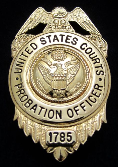 Probation Officer Aesthetic, Fbi Badge, Police Rank, Judicial System, Police Badge Aesthetic, Cop Badge, Probation Officer, Federal Law Enforcement, Security Badge