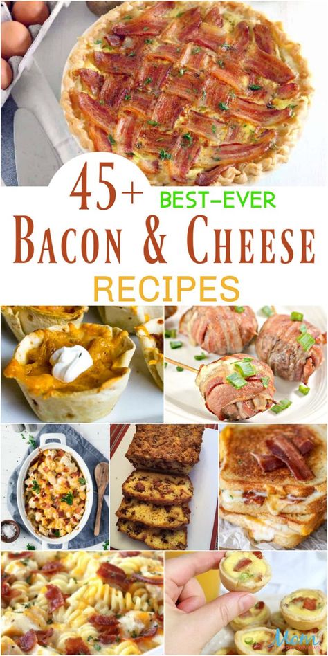 Bacon Dip Recipes, Bacon Recipes For Dinner, Bacon Dinner, Bacon Dishes, Bacon Appetizers, Bacon And Cheese, Easy Bacon, Cheese Ball Recipes, Cheese Dishes