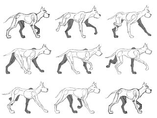 Quadruped Walk Cycle Tutorial Walk Cycle Reference, Animation Walk Cycle, How To Draw Stairs, Dogs Walking, Walking Animation, Walk Cycle, Animation Ideas, Dog Anatomy, Dog Animation