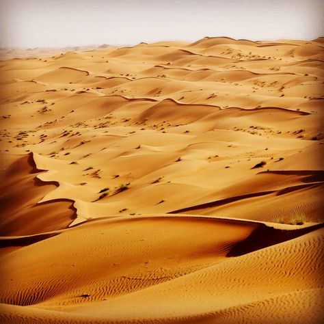 A throwback to an amazing trip to Rub Al Khali in Oman . #oman #rubalkhali #theemptyquarter #desert #sanddunes #arabia Oman Desert, Jabal Akhdar Oman, Mirbat Oman, Muscat Oman, Oman Muscat City, Sand Dunes, Oman, Antelope Canyon, Travel Fun