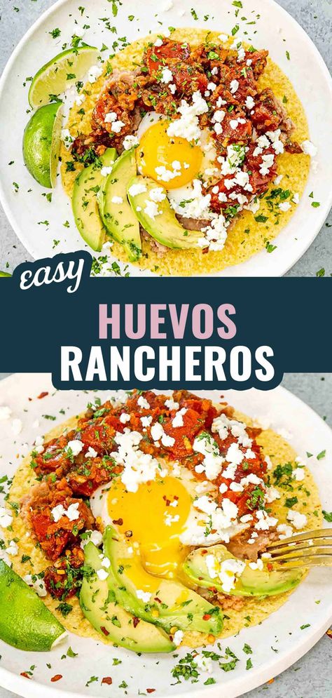 Try my easy Huevos Rancheros recipe for a flavorful and hearty breakfast! Crispy tortillas, refried beans, eggs, and zesty ranchero sauce. #HuevosRancheros #BreakfastRecipes #MexicanFood #EasyRecipes #BrunchIdeas Huevos Rancheros Recipe Easy, Easy Huevos Rancheros, Ranchero Sauce, Shredded Pork Recipes, Mexican Recipies, Huevos Rancheros Recipe, Taco Spaghetti, Canning Whole Tomatoes, Jo Cooks