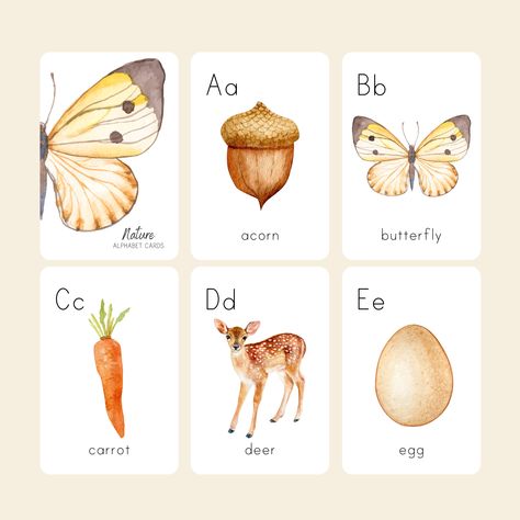 Montessori Alphabet Printable, Canva Theme, Teach Letter Recognition, Montessori Flashcards, Woodland Alphabet, Homeschool Nature, Homeschool Nature Study, Montessori Cards, Abc Cards