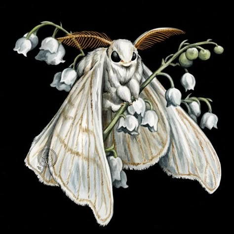 Veronica Steiner | WATERCOLOR | Moth and Lily of the Valley Lily Of The Valley Illustration, Valley Illustration, Watercolor Moth, Cute Moths, Cute Moth, Insect Tattoo, Moth Art, Vine Tattoos, The Moth