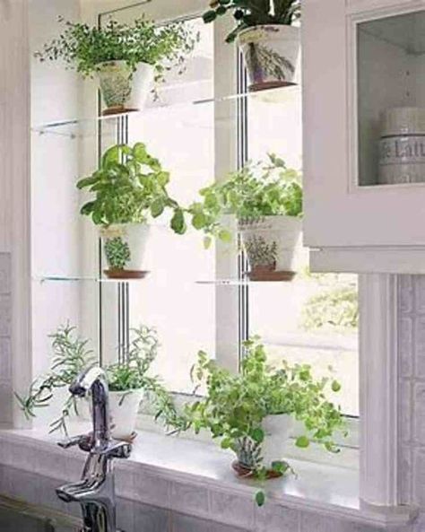 Best Apartment Plants, Window Shelf Decor, Kitchen Window Herb Garden, Kitchen Window Shelves, Window Shelf For Plants, Diy Shelf Decor, Window Herb Garden, Diy Kitchen Shelves, Kitchen Sink Window