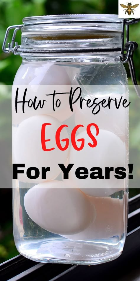 Preserve Eggs In Lime, Water Glass Eggs Recipe, Egg Glassing Recipe, Canned Eggs, Lime Water Eggs Recipe, Water Still, Preserving Eggs In Pickling Lime, Lime Water Egg Storage, Water Glassing Eggs Recipe