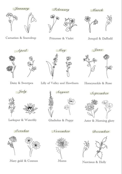 Fine line drawings of birth flowers January March August Birth Flower Tattoo, Birth Month Flower December, Birth Wildflower Tattoo, Birth Flowers Chart, November And June Flower Tattoo, Flowers Of Each Month, Fine Line December Birth Flower Tattoo, Flower For October Birth, Dec Birth Flower Tattoos