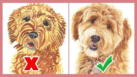 Dog Fur Drawing Tutorial, Dog Fur Drawing, How To Paint Portraits Watercolors, Golden Doodle Watercolor Painting, Watercolor Dog Tutorial, Easy Watercolor Dog, How To Draw A Golden Doodle, Watercolor Dogs Easy, How To Paint A Dog