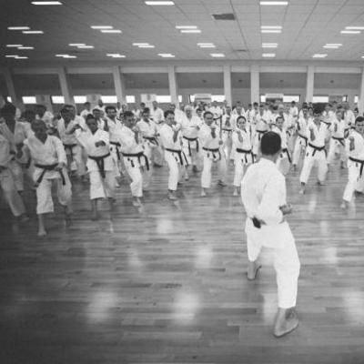 End your search for karate schools by hiring Avi Rokah. This professional provides karate tutorials for adults and kids, six days a week. Karate School, Personal Trainers, Fitness Instructor, Karate, Fun Workouts