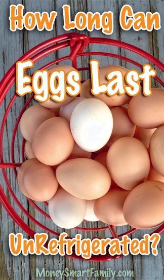 Chicken Egg Storage, Preserving Eggs, Storing Eggs, Fresh Store, Freezing Eggs, Chicken Care, Money Smart, Emergency Prepardness, Survival Books