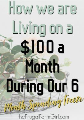 Spending Freeze, Saving Money Frugal Living, Money Frugal, Living On A Budget, Budget Saving, Frugal Tips, Frugal Living Tips, Monthly Budget, Budgeting Finances