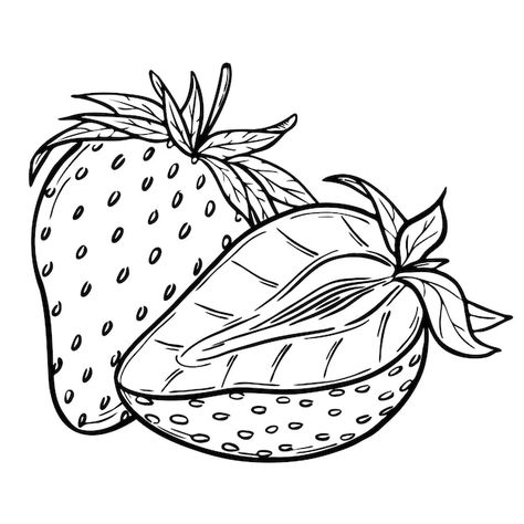 Strawberry Outline, Botanical Outline, Drawn Strawberry, Strawberry Vector, Sketch Line Art, Strawberry Drawing, Art Composition, Outline Illustration, Redwork Embroidery