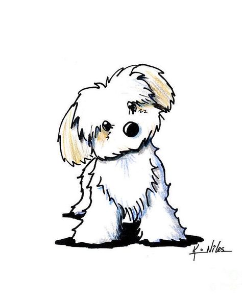 Cartoon Dog Drawing, Tatoo Dog, Dog Breed Art, Bichon Havanais, Cute Dog Drawing, Funny Puppies, Havanese Dog, Interior Boho, Puppy Drawing