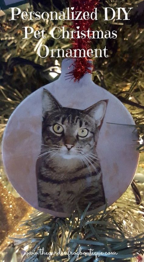 s 30 ideas every pet owner should know, Make An Ornament Of Your Cat For Christmas Apartment Cat, Pet Christmas Ornaments, Garden Frogs, Christmas Crafty, Pet Food Storage, Dog Ears, Old Barn Wood, Outdoor Cat, Photo Christmas Ornaments