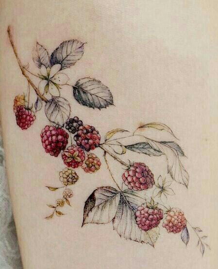 Cottagecore Flower Tattoo, Blackberry Bramble Tattoo, Berry Branch Tattoo, Tattoo Cottagecore, Blackberry Vine Tattoo, Raspberry Tattoos, Cottagecore Tattoo Ideas, Botanical Tattoo Vintage, Floral Bee Tattoo