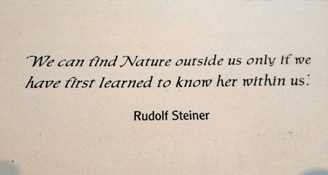 Rudolf Steiner Quotes, Waldorf Philosophy, Steiner Quotes, Waldorf Verses, Forgive And Let Go, Wanderer Quotes, Rudolph Steiner, Spiritual Man, Steiner Waldorf Education