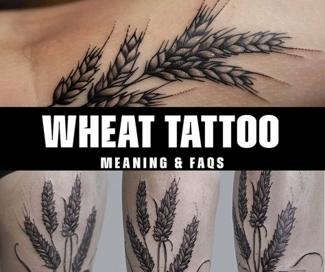 What is the significance of a wheat tattoo and its meaning? Wheat Tattoo Men, Barley Tattoo Ideas, Wheat Stalk Tattoo, Wheat Tattoo Meaning, Wheat Tattoos For Women, Tattoo And Its Meaning, Rip Grandpa Tattoo, Wheat Tattoo, Grandpa Tattoo