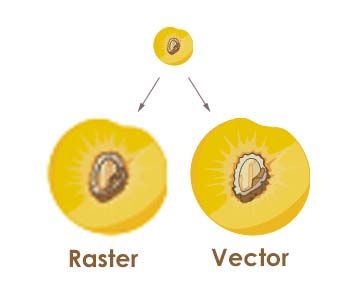 Raster vs. Vector Raster To Vector, Paper Blog, Paper Mill, Design Files, Graphic Prints, Craft Room, Scrapbook Pages, Web Design, How To Draw Hands