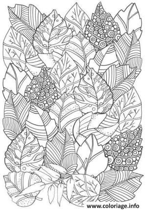 Forest Coloring Book, Mindfulness Colouring, Enchanted Forest Coloring, Doodle Background, Floral Doodle, Pattern Coloring Pages, Fall Coloring Pages, Doodle Designs, Doodle Art Designs