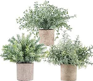 Indoor Topiary, Plants For Home Office, Plants For Home, Topiary Plants, Artificial Topiary, Desk Plants, Fake Plants Decor, Artificial Potted Plants, Artificial Boxwood