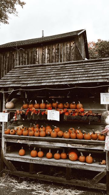 Midwest Autumn Aesthetic, Mill Aesthetic, Autumn Farm Aesthetic, Countryside Autumn Aesthetic, Fall Aesthetic Small Town, Farmcore Aesthetic, Old Farm Astethic, Connecticut Style, Countryside Aesthetic