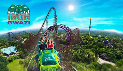 Why Did It Take a Disney World Rival 2 Years to Open New Roller Coasters? | The Motley Fool Theme Park Ideas, Theme Park Poster, Amusement Park Poster, Theme Park Design, Island Of Adventure, Busch Gardens Tampa Bay, Disney Parque, Legoland Florida, Busch Gardens Tampa