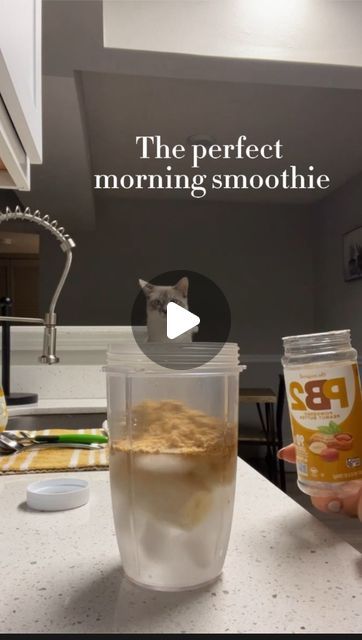 Taylor Savaglio\ Fitness Trainer on Instagram: "HAPPY MONDAY!!!
We all know that Monday’s set the tone for our week, so get up, get active, stay positive, and feed your body well! 

Here is my go to morning smoothie recipe!
Simple, healthy, and easy to make! 

Using my @nutribullet add
•Ice
•Water or any unsweetened nut milk
•1 banana
•PB2 peanut butter powder
• @sunwarrior vegan chocolate protein powder! 🤤

Thick and oh so chocolatey! ENJOY!!" Morning Smoothie Recipes, Butter Powder, Nutribullet Recipes, Get Active, Peanut Butter Powder, Recipe Simple, Morning Smoothie, Ice Water, Chocolate Protein Powder