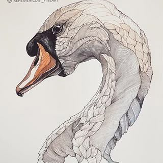 Animal Watercolor, A Level Art Sketchbook, Watercolour Inspiration, Abstract Geometric Art, Instagram White, White Swan, Animal Sketches, Ink On Paper, Bird Drawings