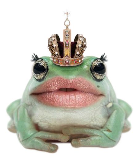 ForgetMeNot: frogs queens with crowns Christmas Globes, Pet Mice, Halloween Mummy, Frog Prince, Emo Music, Funny Frogs, Halloween Monster, A Frog, Frog And Toad