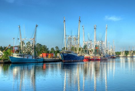 State Of Alabama, Shrimp Boat, Banks Building, Travel Wishes, Cascade Waterfall, Neoclassical Architecture, Train Depot, Recreational Activities, Episcopal Church